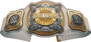 Wwe Womens Tag Team Championship Belt 1 300x138